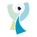 TFF Süper Kupa logo
